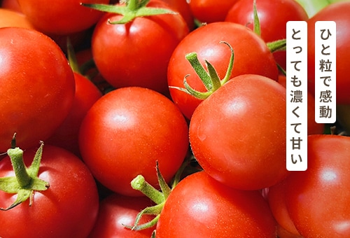 ラブリーさくら