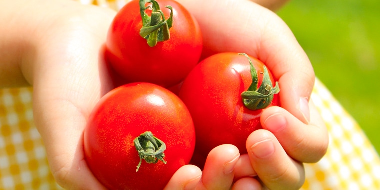 ラブリーさくら